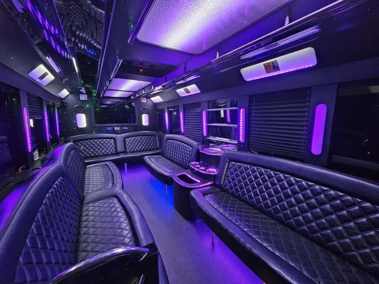 Limo bus for Niagara Falls wine tour, Toronto